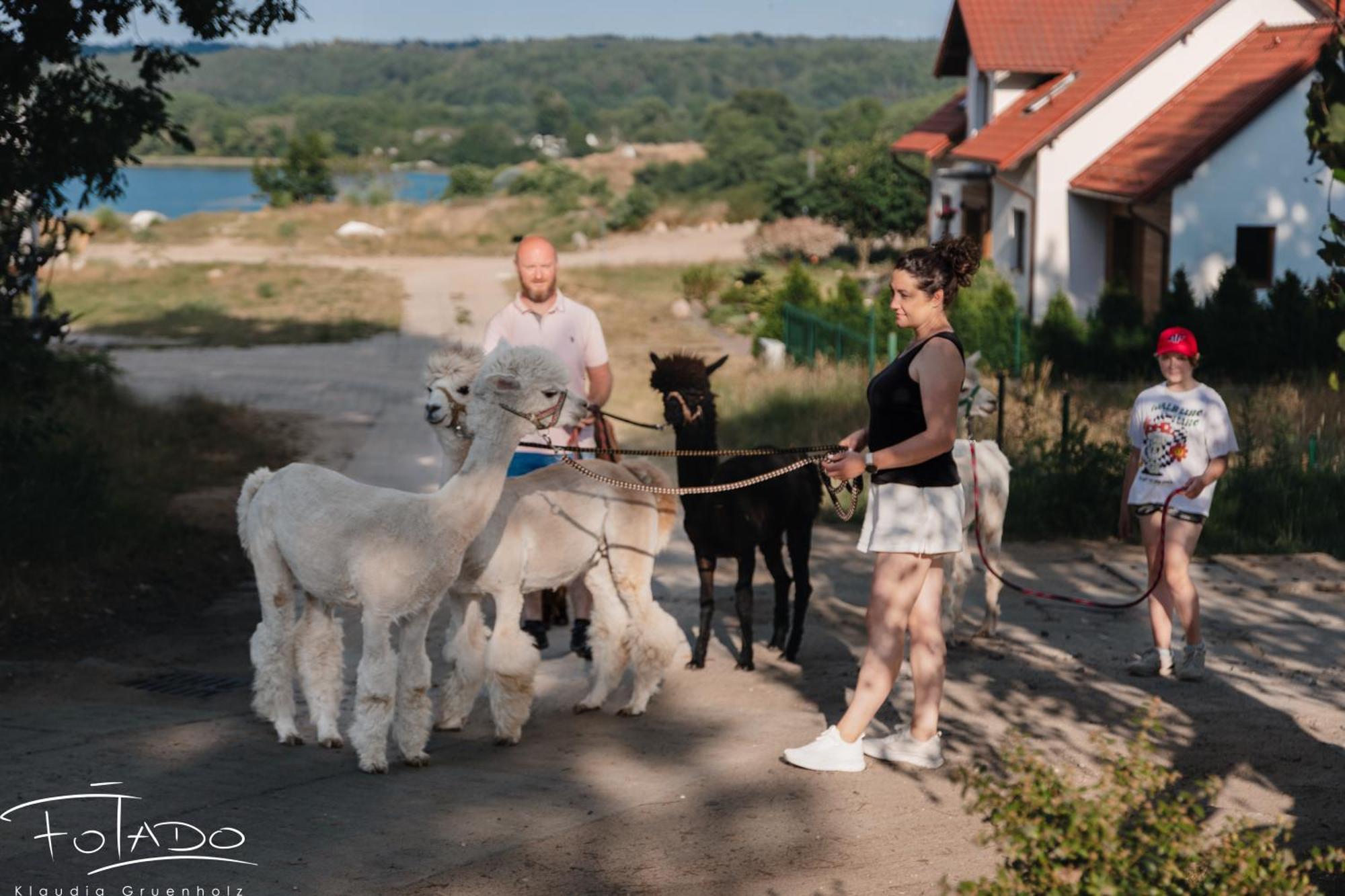 Domek Na Slonecznikowej Chmielno Luaran gambar