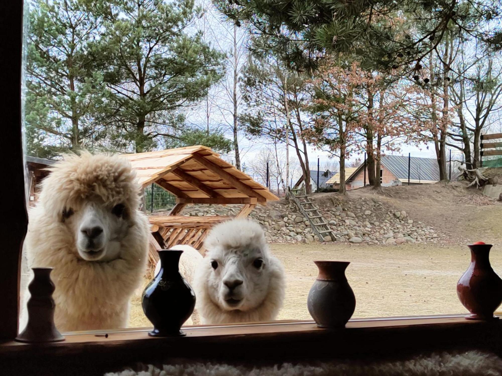 Domek Na Slonecznikowej Chmielno Luaran gambar